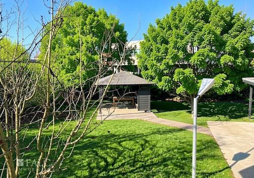 Blick in den Garten II 