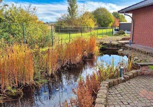  Schwimmteich mit Goldfischen