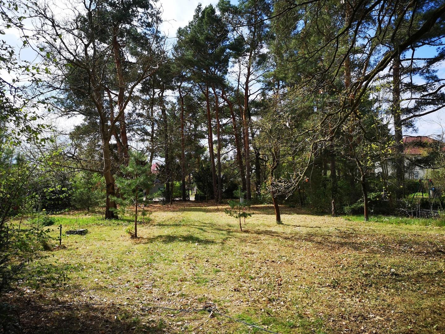 Blick auf dem Grundstück 