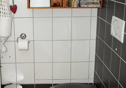 5. Gäste WC