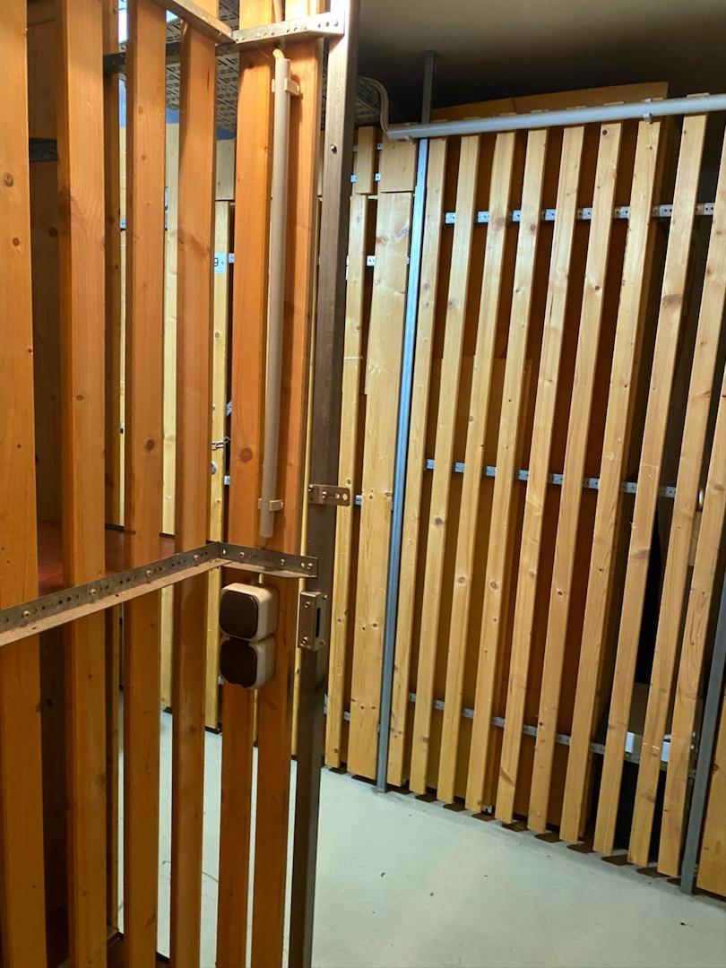 Kellerraum mit Licht und Steckdose, gut gesichert