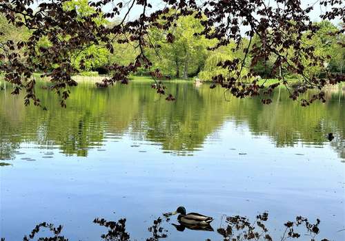 10 Minuten Gehweg zum Arthur-Bretschneider-Park