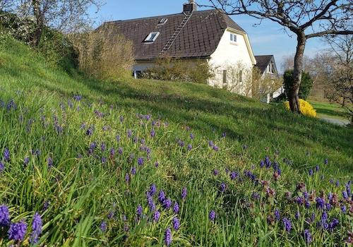 Gartenansicht im Frühling