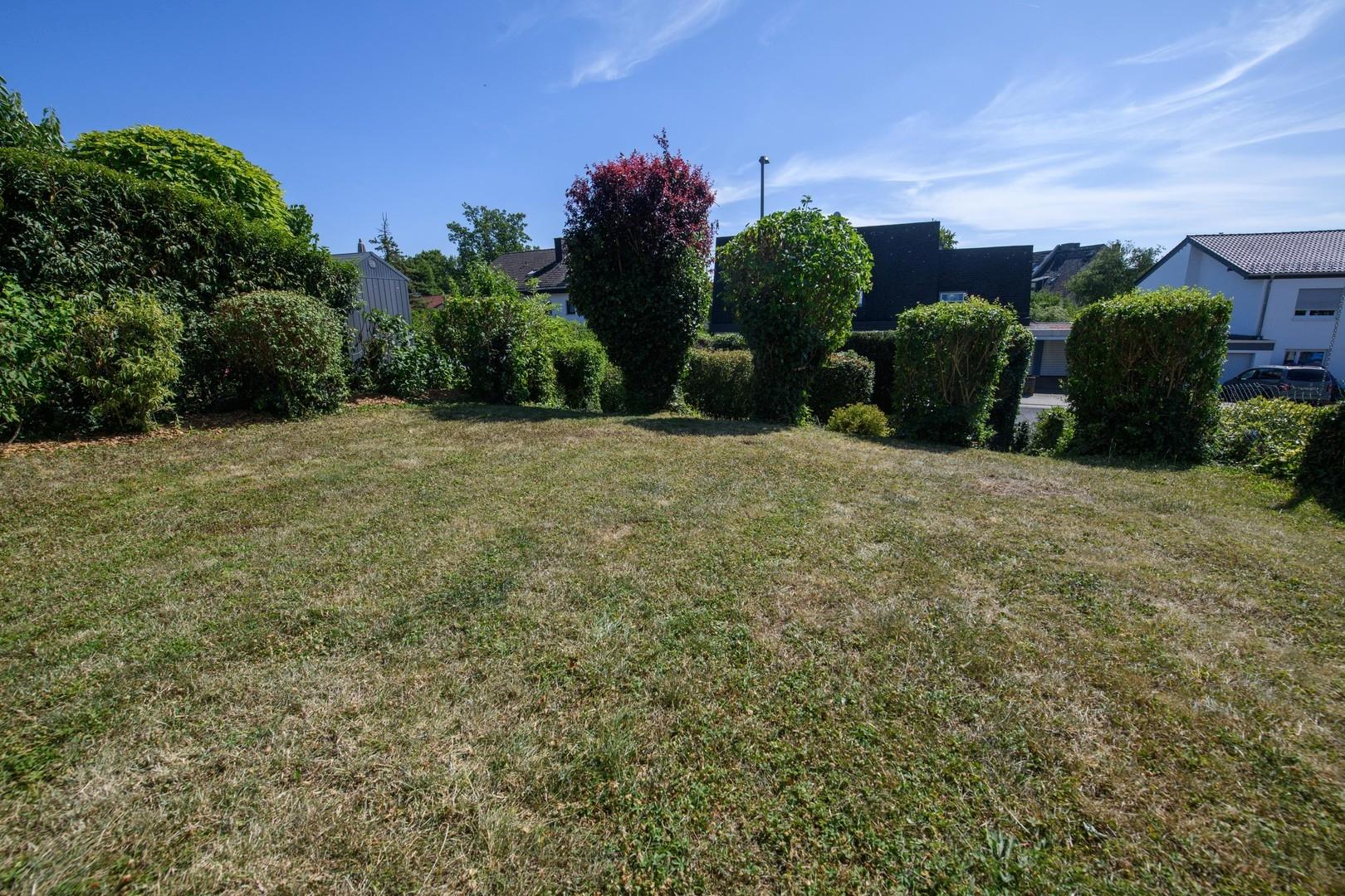 Blick vom Haus zum Garten