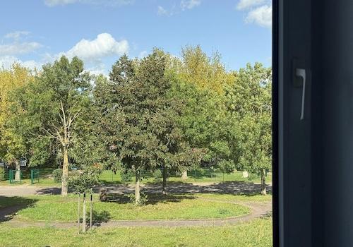 Ausblick Straßenseite