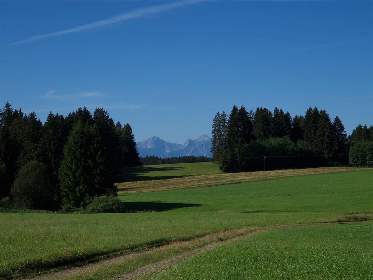Ausblick nach Süden