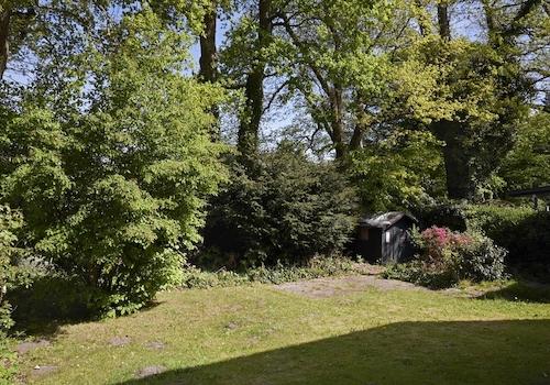 Hintergarten belaubt