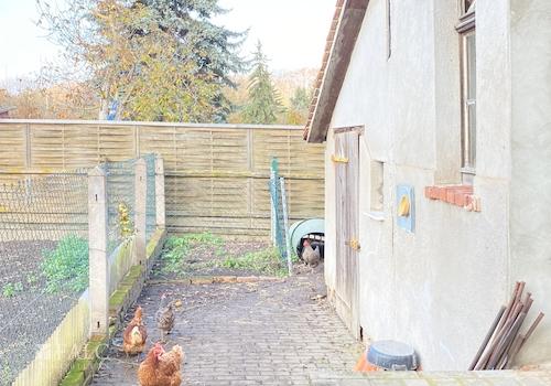 Hühnerhof