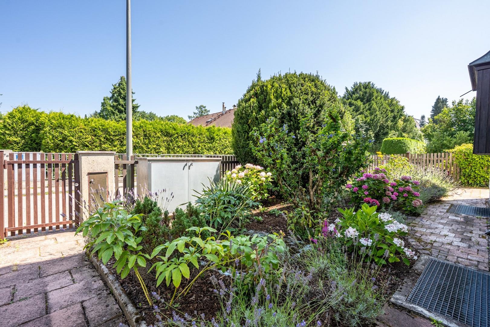 Eingang und Vorgarten