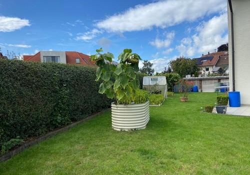 Garten Seitenflügel Haus