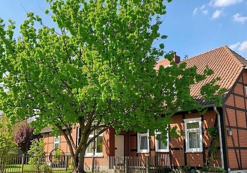 Außenansicht - (KI generiert)