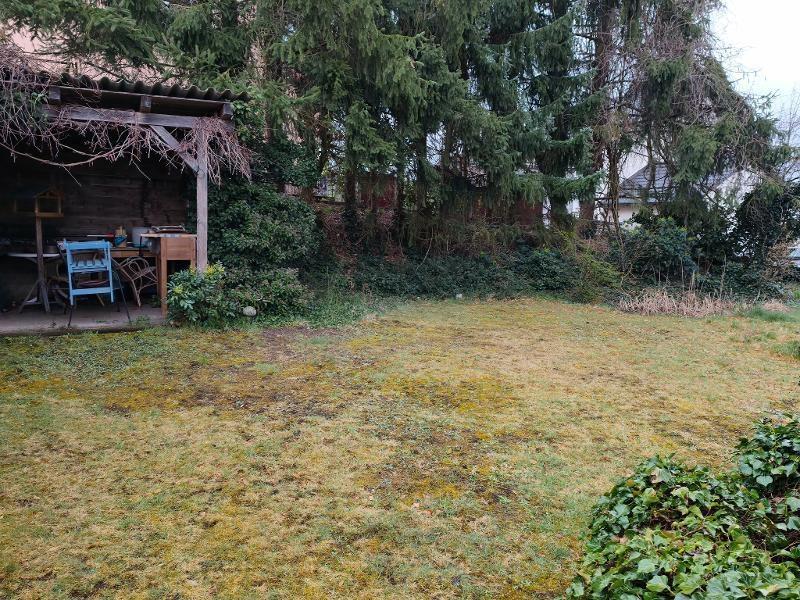 Garten (zur Mitbenutzung)