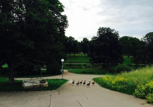 Unterer Schlossgarten