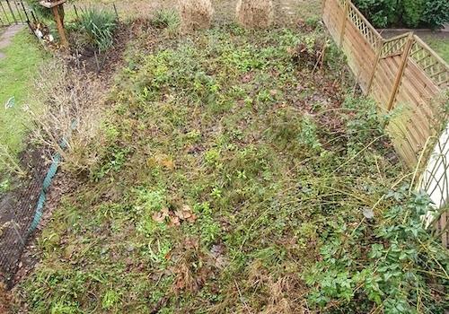 Garten sucht Freunde / Balkon