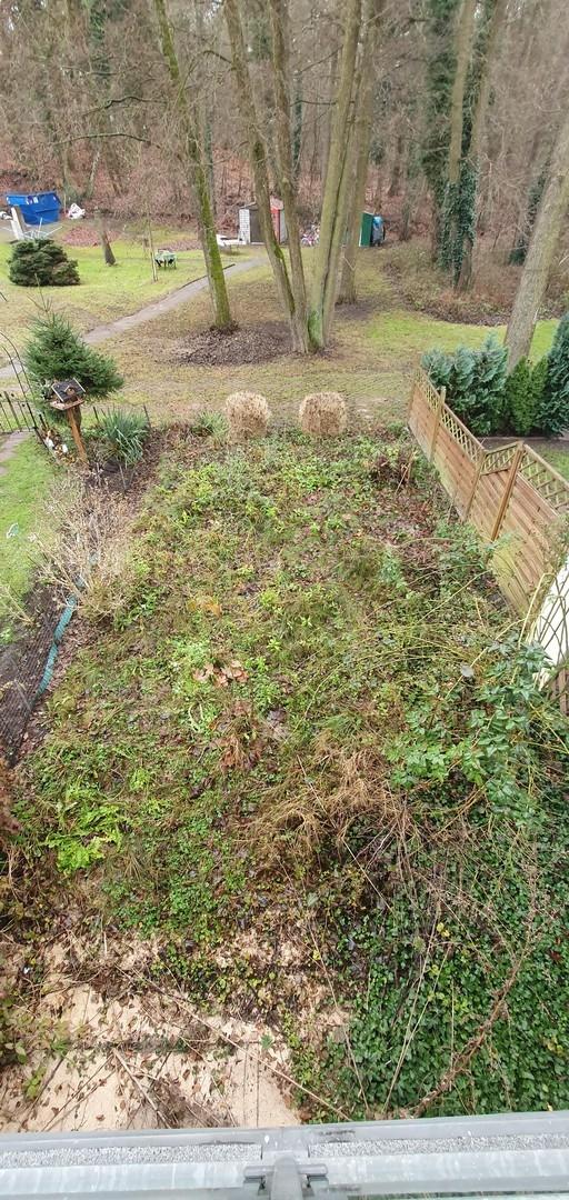 Garten sucht Freunde / Balkon