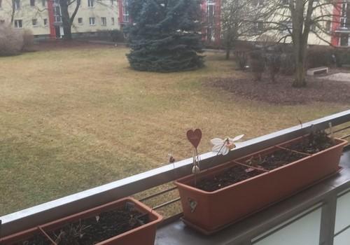 Blick vom Balkon ins Grüne