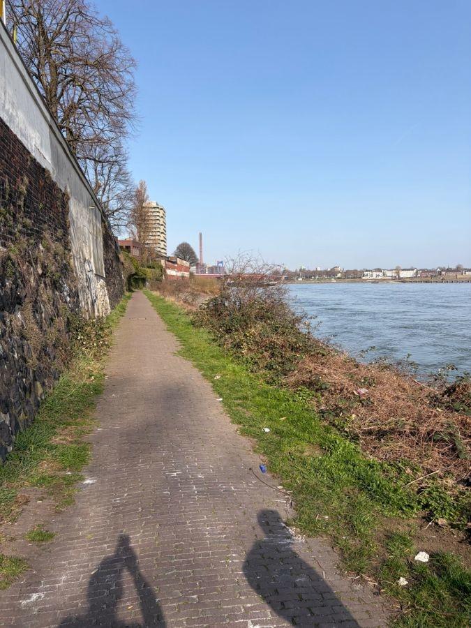 Rheinufer Spazier und Radweg