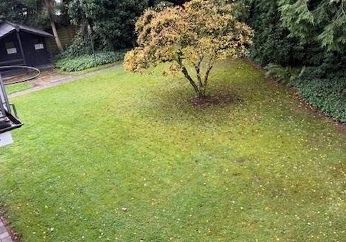 Garten Blick vom Wohnzimmer