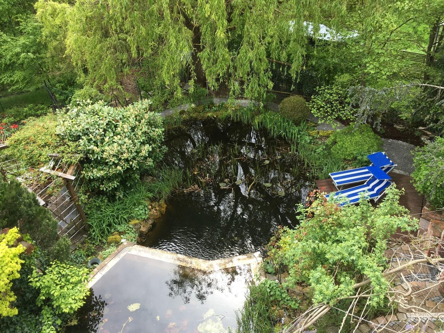 Blick von ELW auf Garten