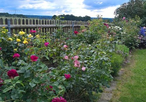 Blick von der Terrasse