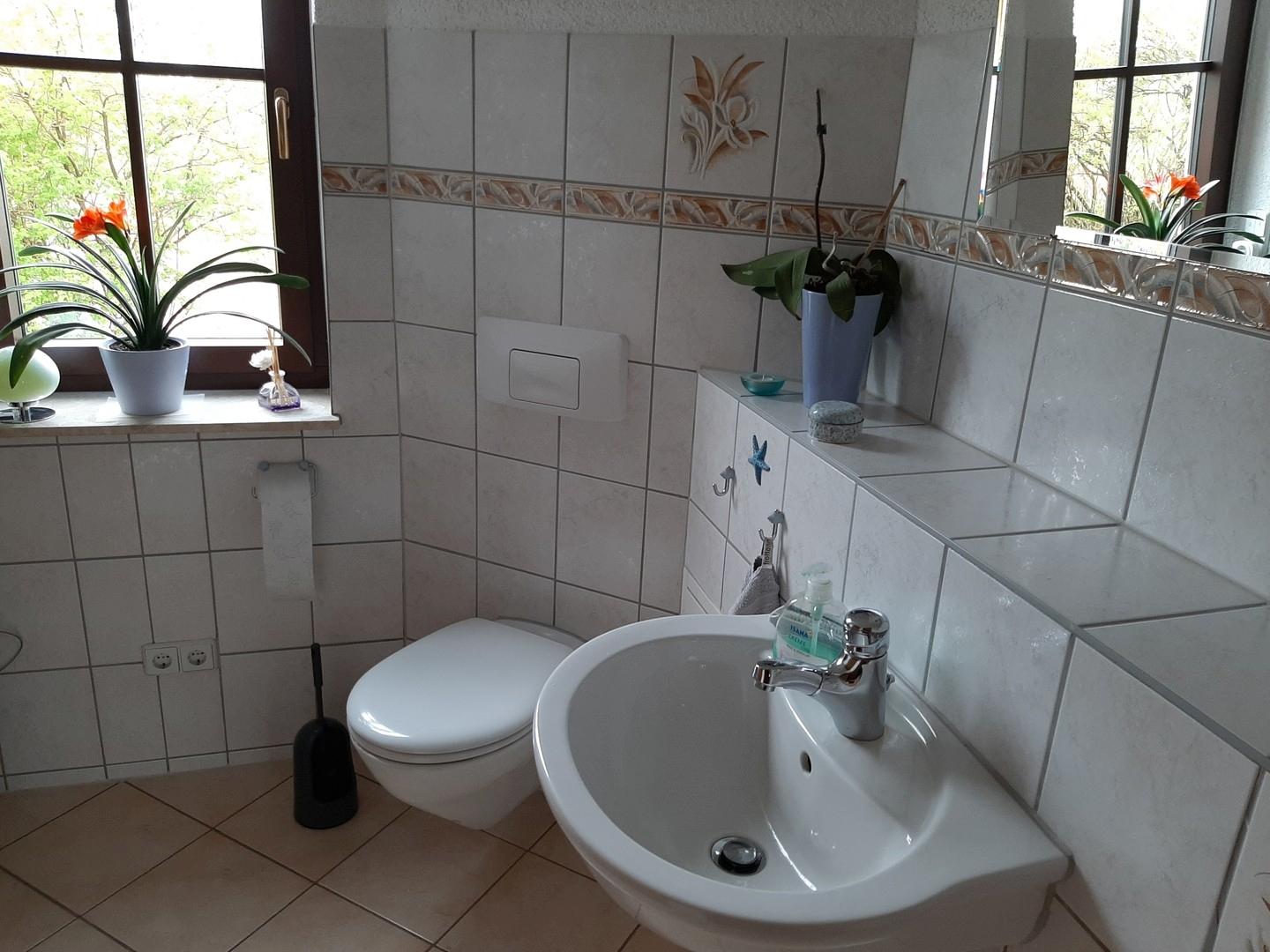 großzügiges Gäste-WC