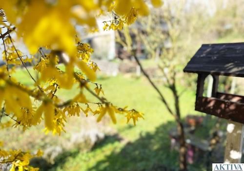  Impressionen des Gartens