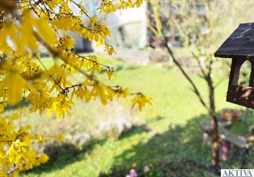  Impressionen des Gartens