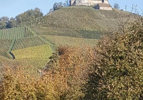 Ausblick auf Schloss Durbach