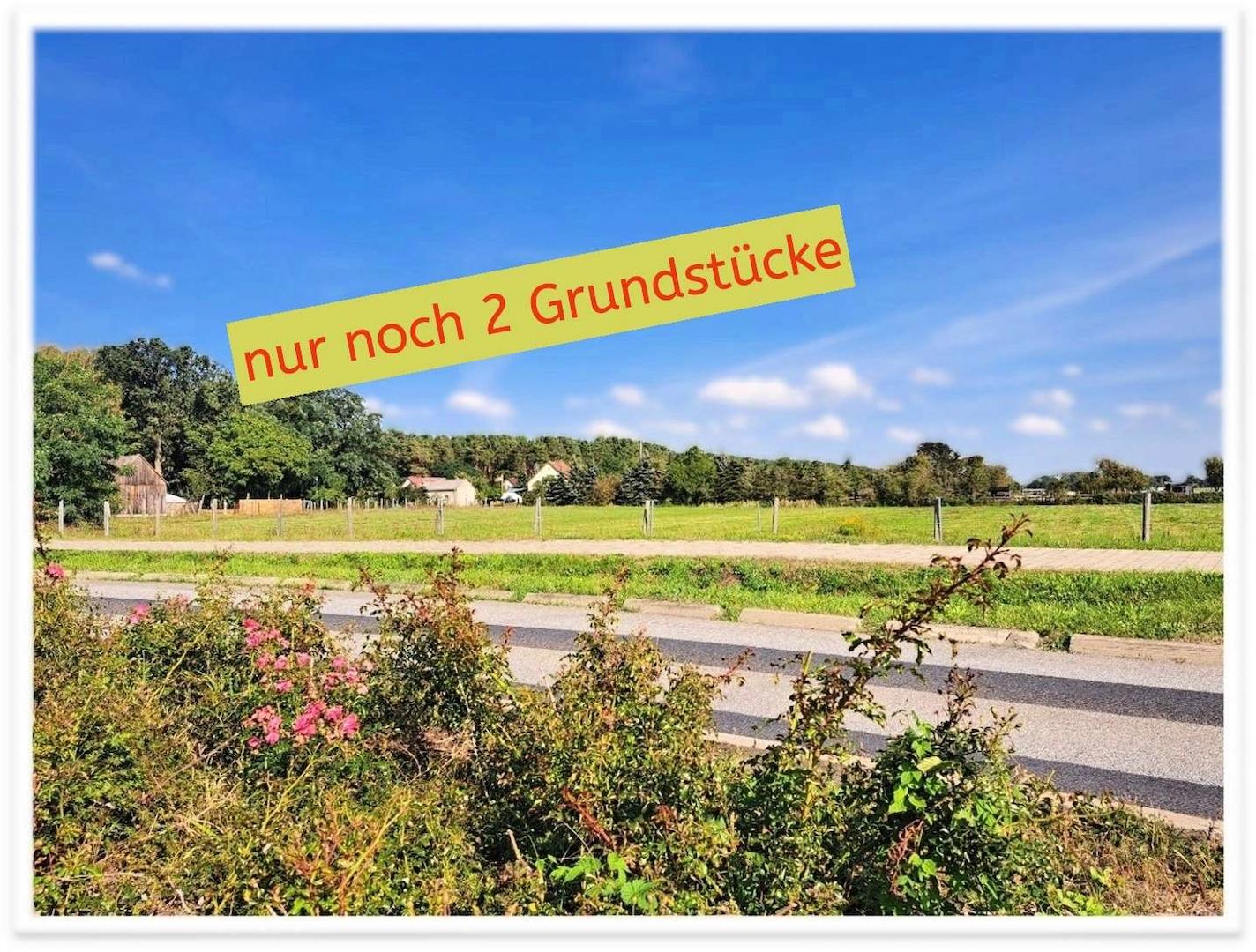 Grundstück