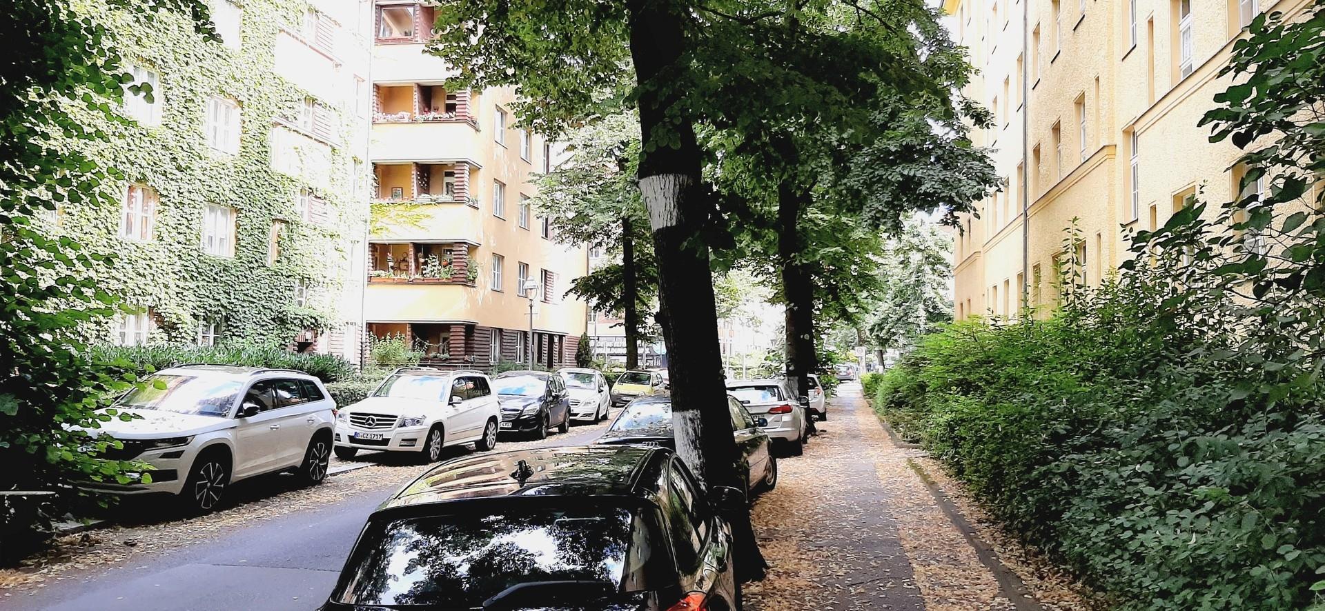 Laubenheimer Straße