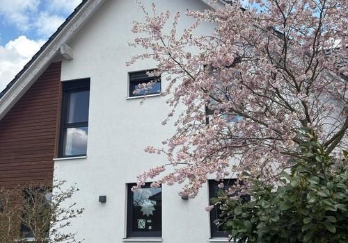 Hausansicht von der Straße