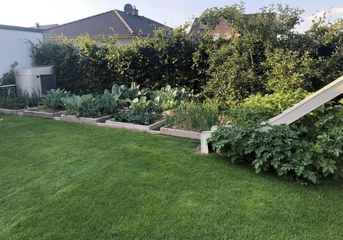 Gemüsebeete und Rutsche