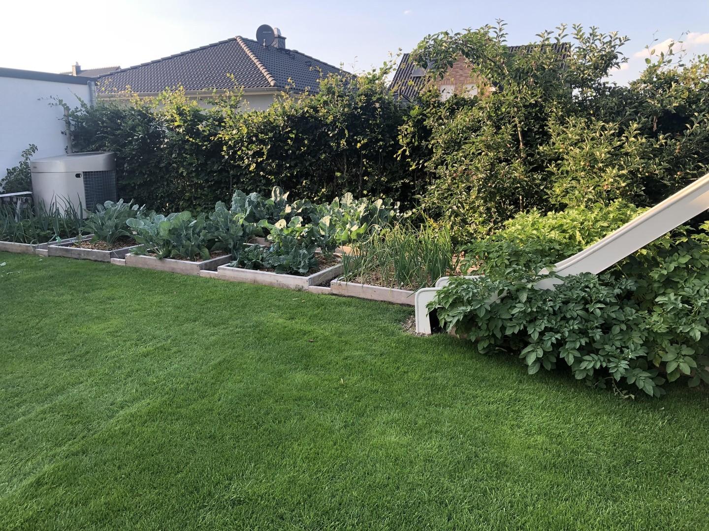 Gemüsebeete und Rutsche