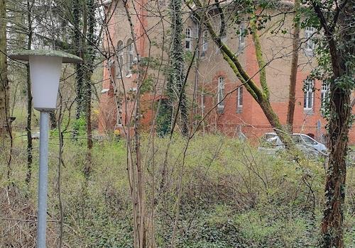 Blick vom Weg zur Villa 