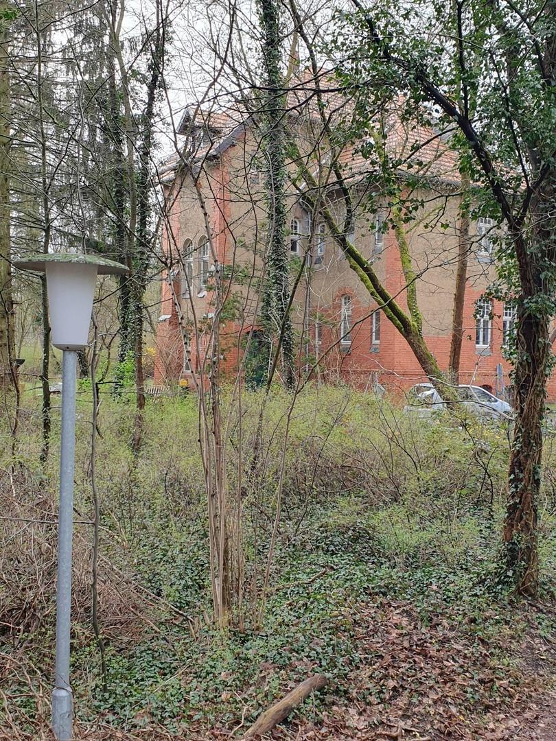 Blick vom Weg zur Villa 