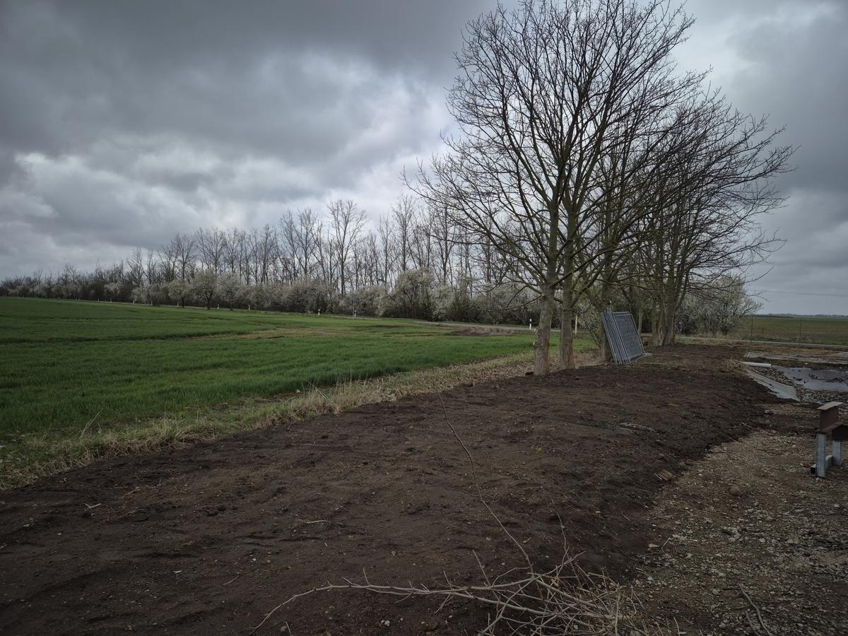 Straße nach Röglitz