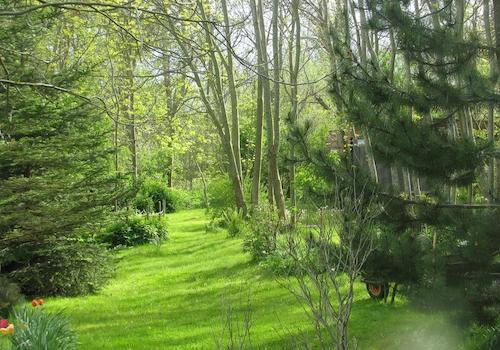 Parkähnliches Gelände