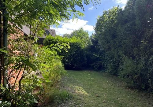 Garten vor der Terrasse