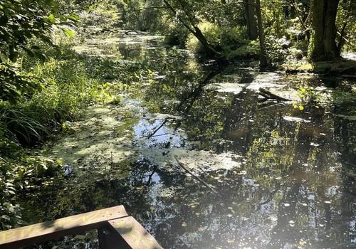 Fluss Briese am Garten 