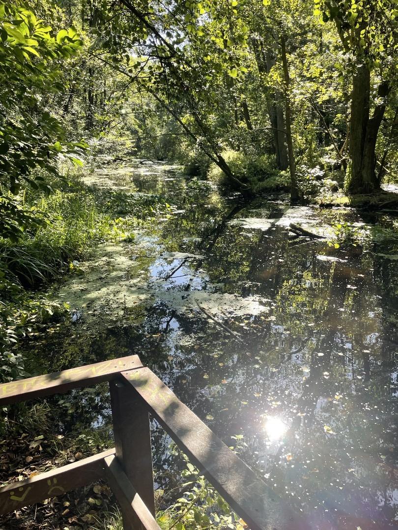 Fluss Briese am Garten 