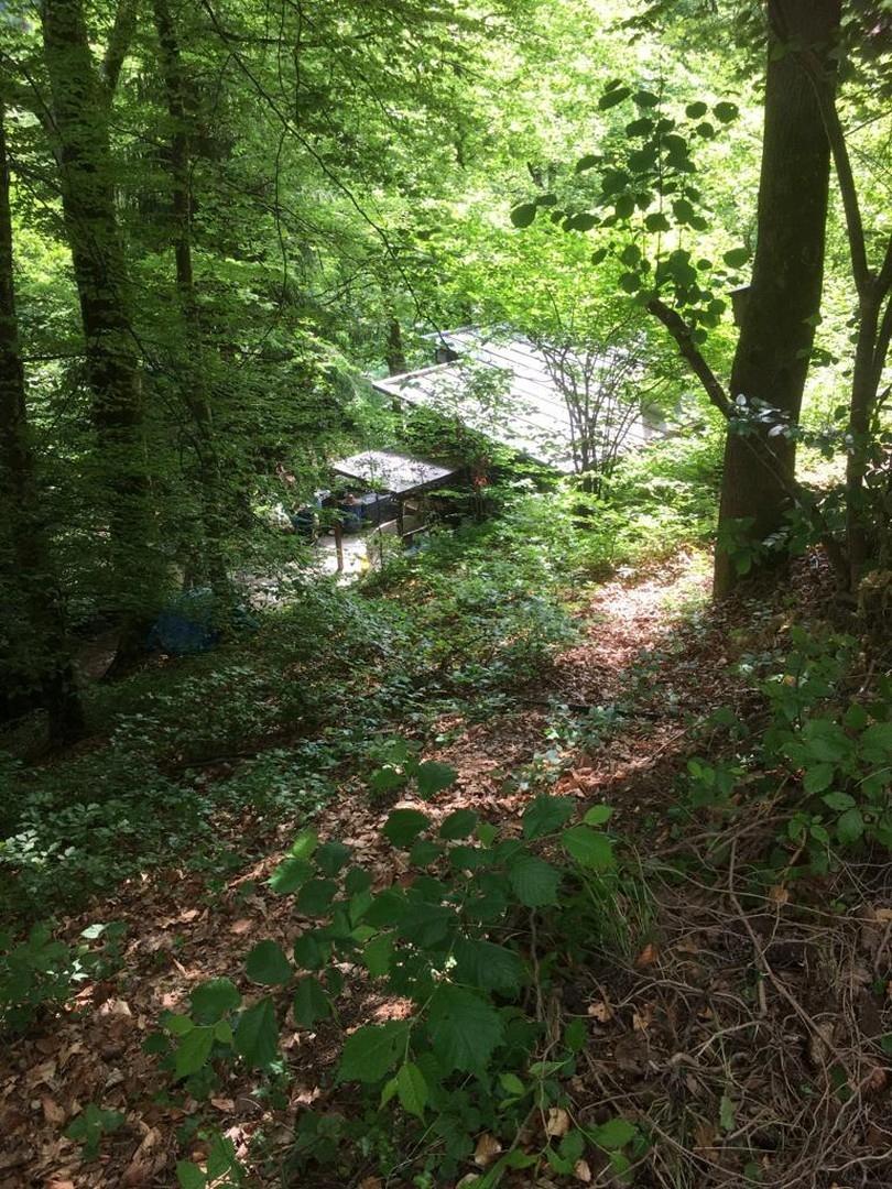 Blick aufs Haus von Oben