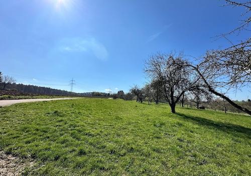 Feldrand Wohngebiet Südsicht