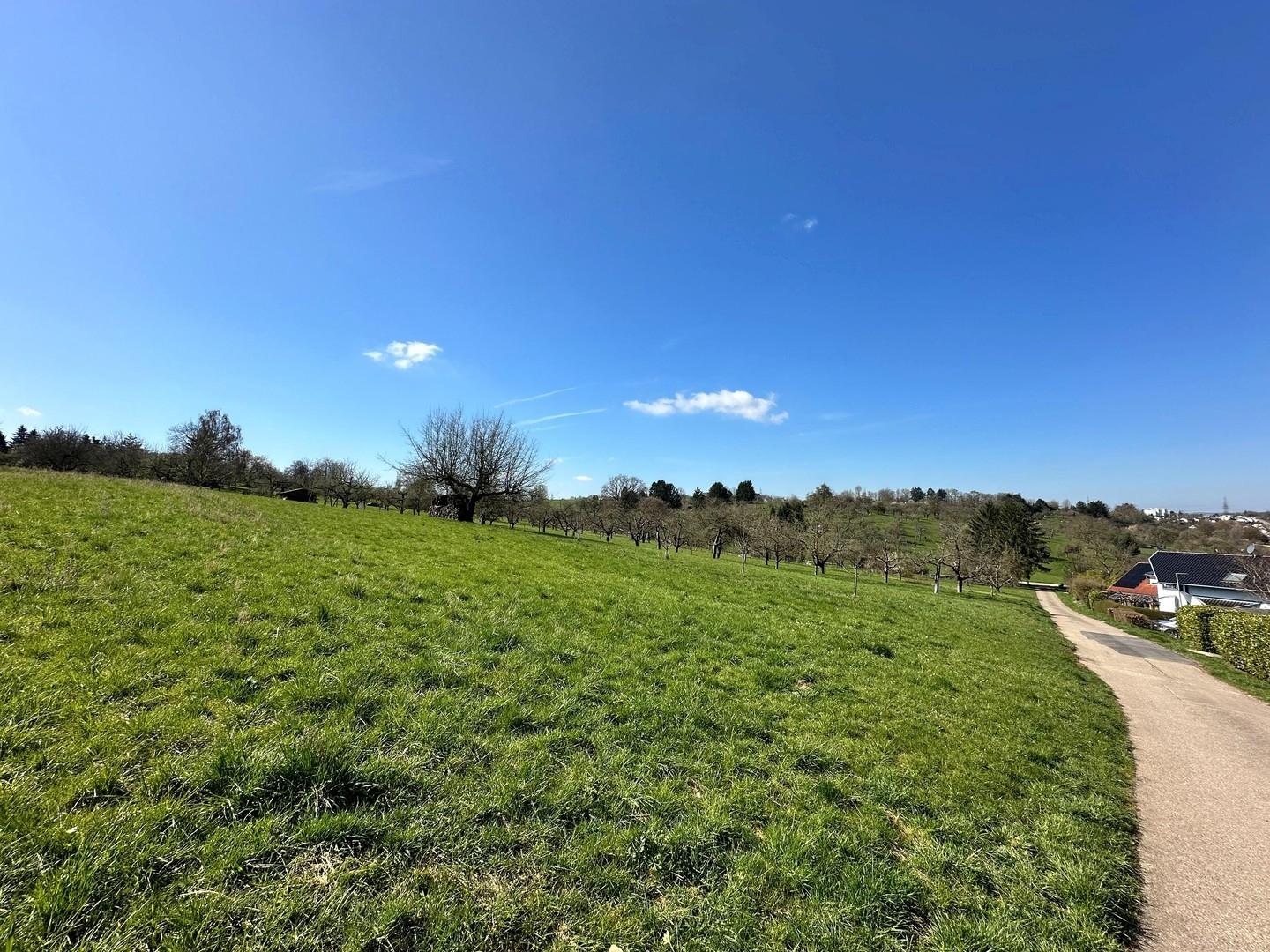 Feldrand Wohngebiet Westsicht