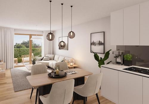 Wohn- / Koch- / Essbereich