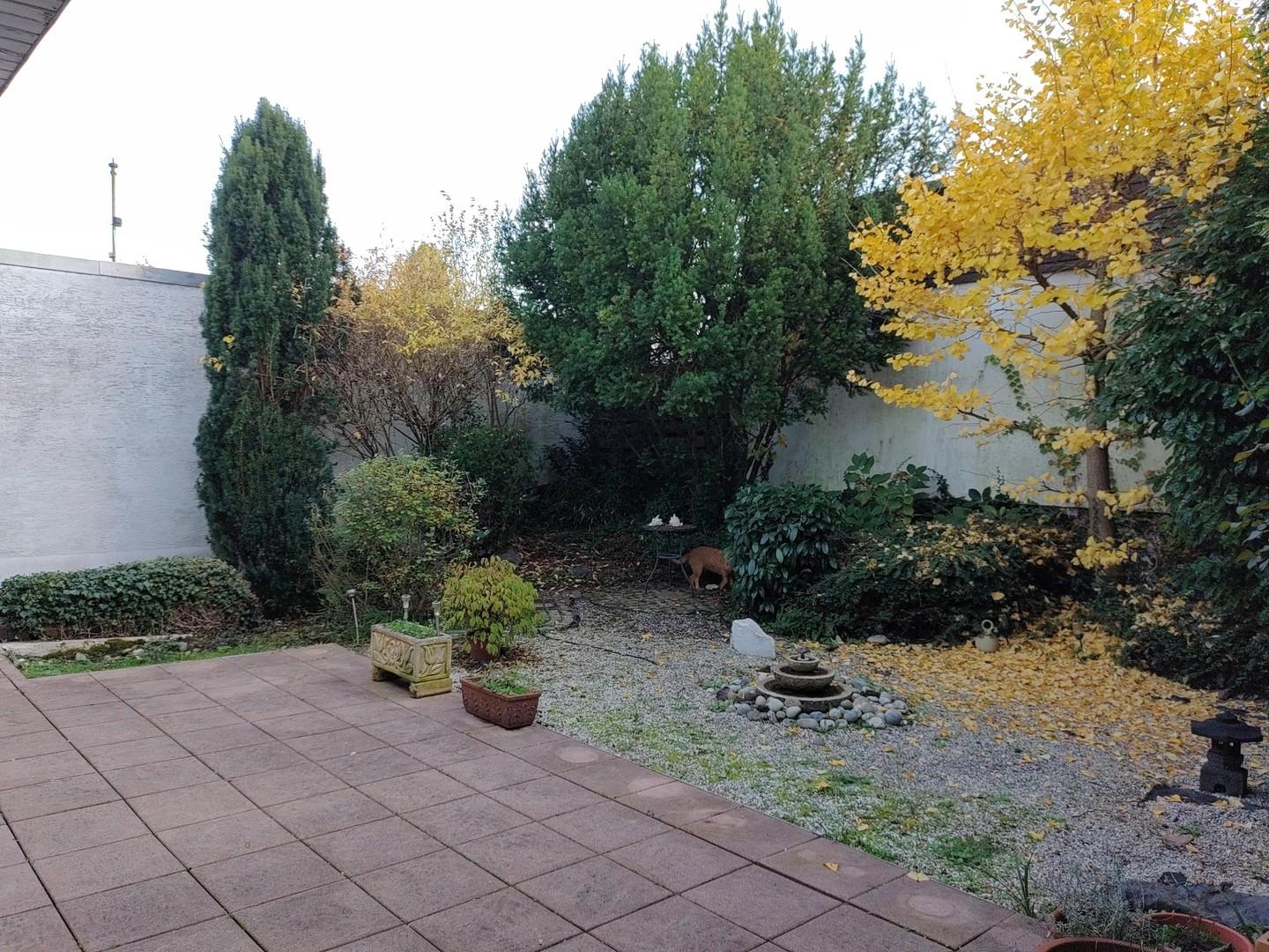 Garten im Herbst