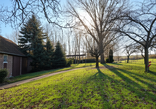 Garten, Streuobstwiese