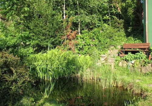 Gartenteich