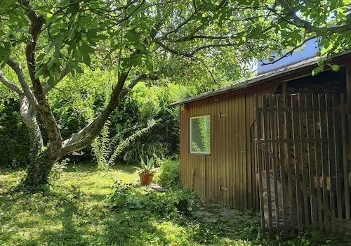 Apfel- & Feigenbaum & Schuppen