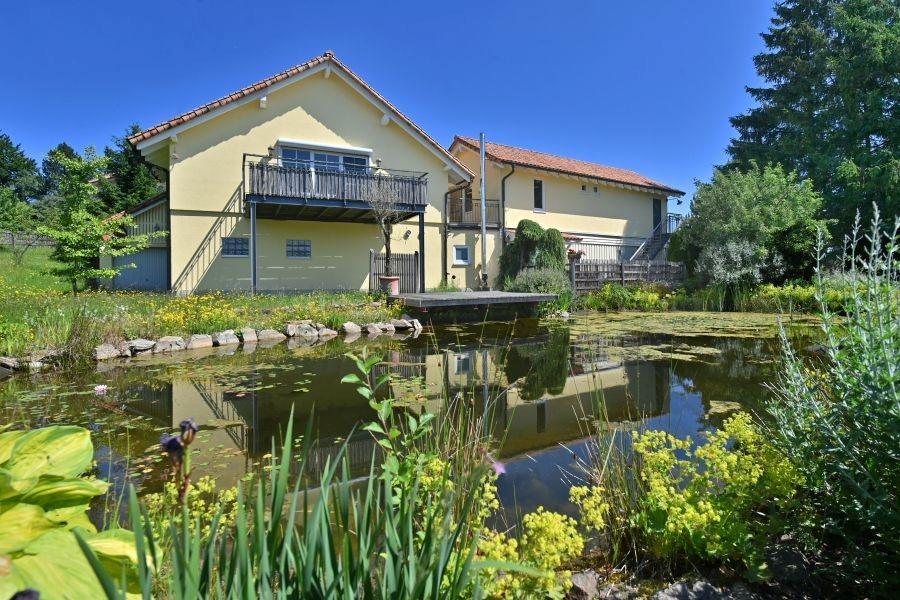 Teich mit Holzterrasse