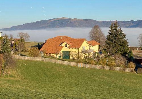 Haus Rückseite - Tal im Nebel